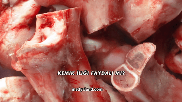 Kemik İliği Faydalı mı?