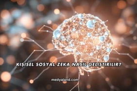 Kişisel Sosyal Zeka Nasıl Geliştirilir?