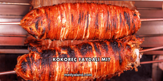 Kokoreç Faydalı mı?
