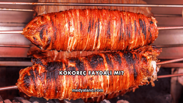 Kokoreç Faydalı mı?