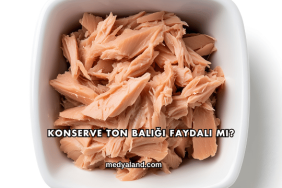 Konserve Ton Balığı Faydalı mı?