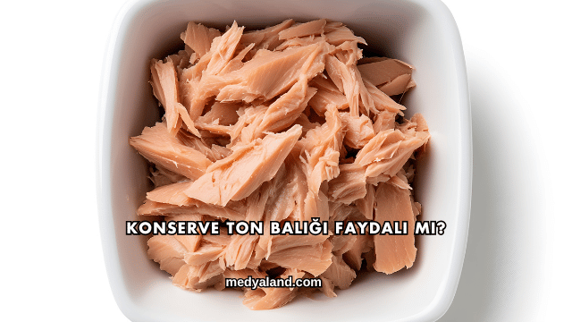 Konserve Ton Balığı Faydalı mı?