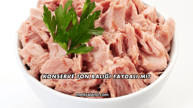 Konserve Ton Balığı Faydalı mı?