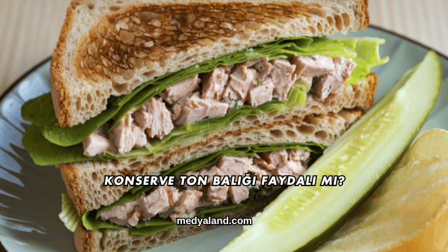 Konserve Ton Balığı Faydalı mı?