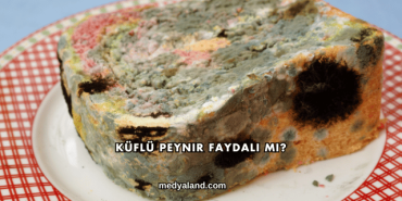 Küflü Peynir Faydalı mı?
