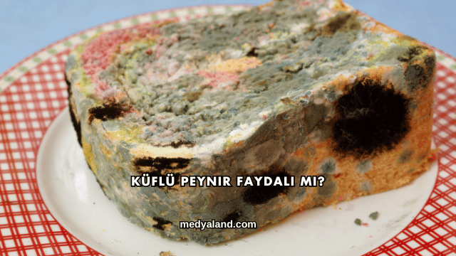 Küflü Peynir Faydalı mı?