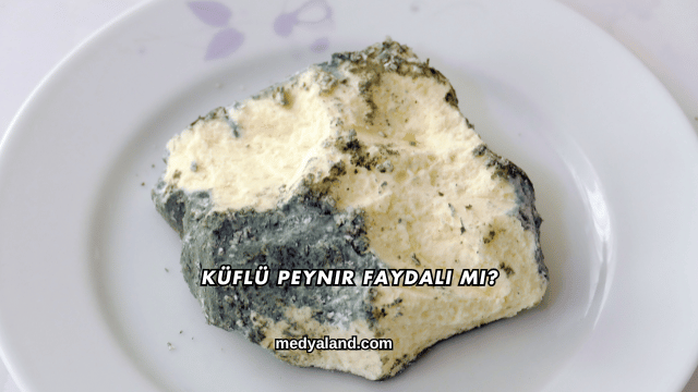 Küflü Peynir Faydalı mı?