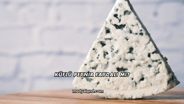 Küflü Peynir Faydalı mı?