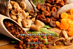 Kuru Meyve Faydalı mı?