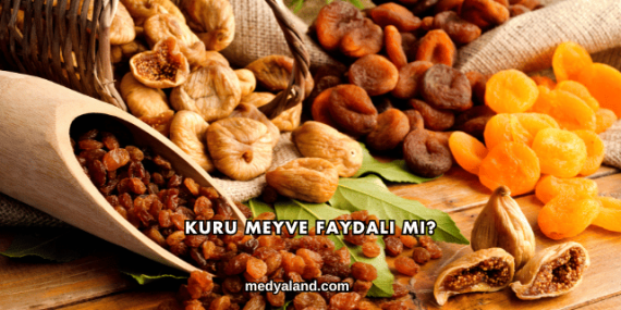 Kuru Meyve Faydalı mı?