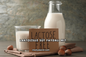 Laktozsuz Süt Faydalı mı?