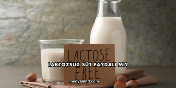 Laktozsuz Süt Faydalı mı?