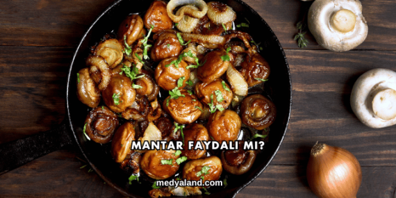 Mantar Faydalı mı?