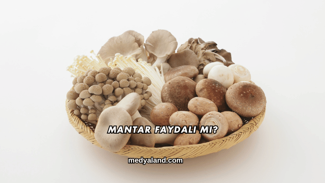 Mantar Faydalı mı?