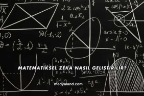 Matematiksel Zeka Nasıl Geliştirilir?