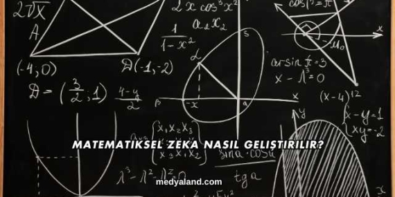 Matematiksel Zeka Nasıl Geliştirilir?