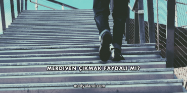 Merdiven Çıkmak Faydalı mı?