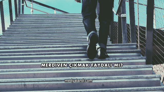 Merdiven Çıkmak Faydalı mı?