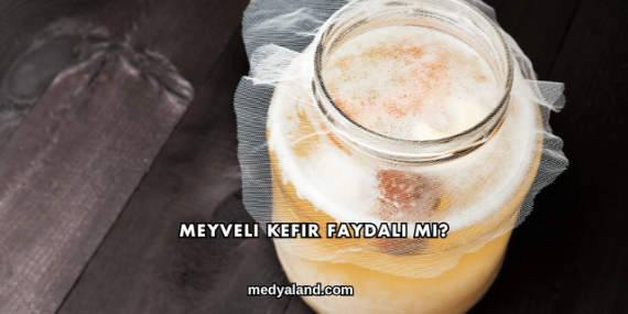 Meyveli Kefir Faydalı mı?