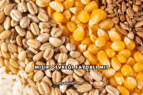 Mısır Gevreği Faydalı mı?