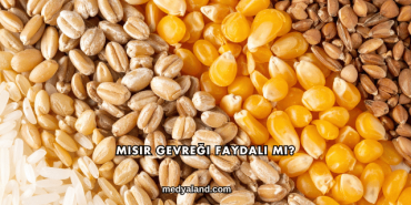 Mısır Gevreği Faydalı mı?