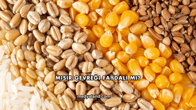 Mısır Gevreği Faydalı mı?