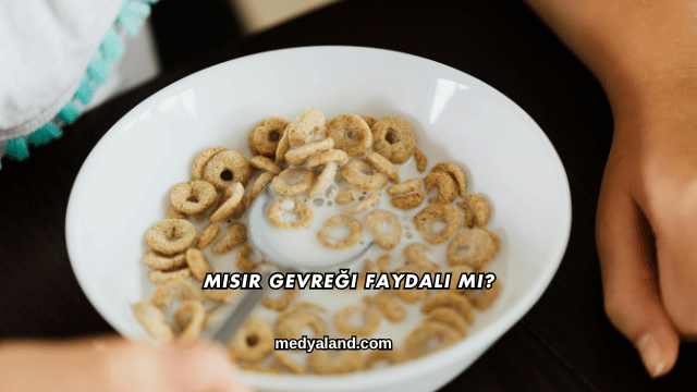 Mısır Gevreği Faydalı mı?