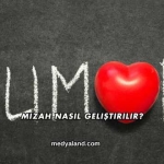 Mizah Nasıl Geliştirilir?