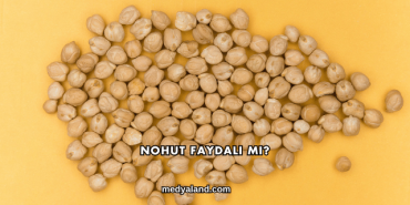 Nohut Faydalı mı?