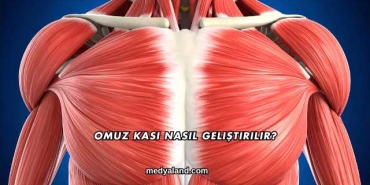 Omuz Kası Nasıl Geliştirilir?