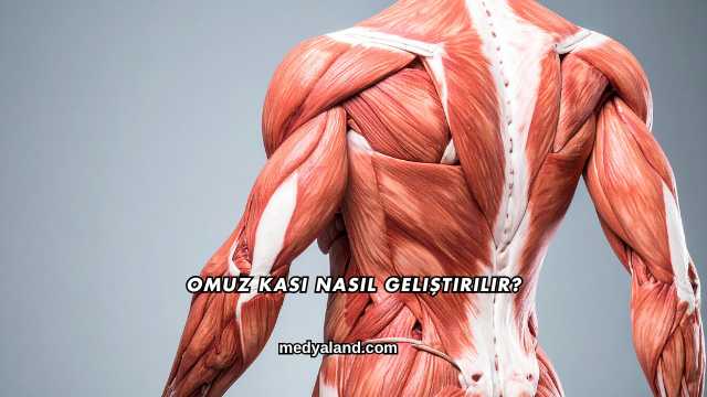 Omuz Kası Nasıl Geliştirilir?