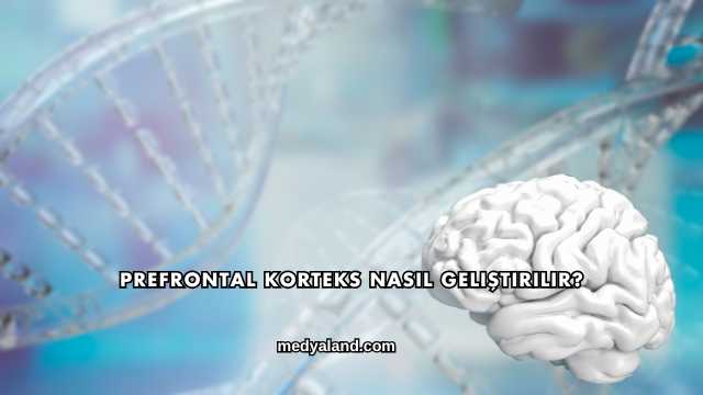 Prefrontal Korteks Nasıl Geliştirilir?
