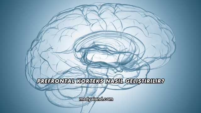 Prefrontal Korteks Nasıl Geliştirilir?