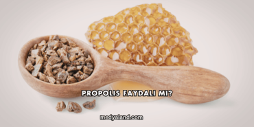 Propolis Faydalı mı?