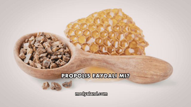 Propolis Faydalı mı?
