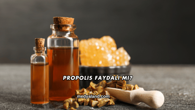 Propolis Faydalı mı?
