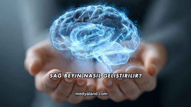 Sağ Beyin Nasıl Geliştirilir?