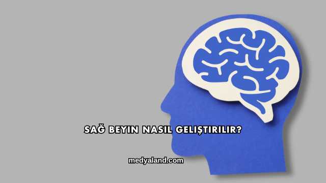 Sağ Beyin Nasıl Geliştirilir?
