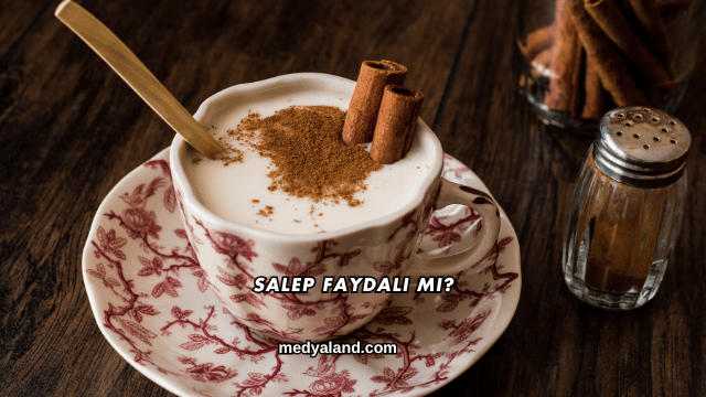 Salep Faydalı mı?