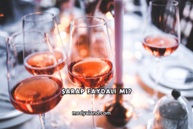 Şarap Faydalı mı?