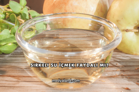 Sirkeli Su İçmek Faydalı mı?