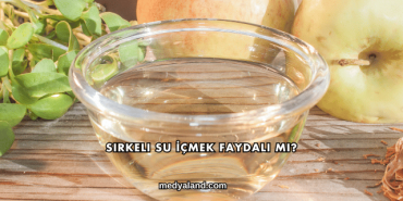Sirkeli Su İçmek Faydalı mı?