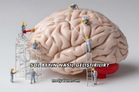 Sol Beyin Nasıl Geliştirilir?