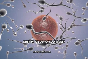 Sperm Cilde Faydalı mı?