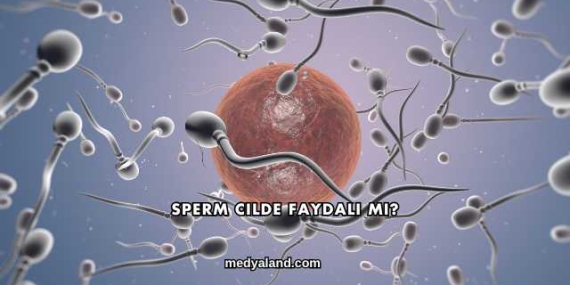 Sperm Cilde Faydalı mı?