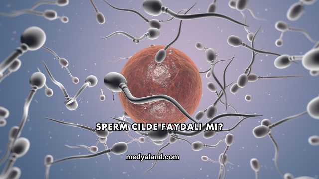 Sperm Cilde Faydalı mı?