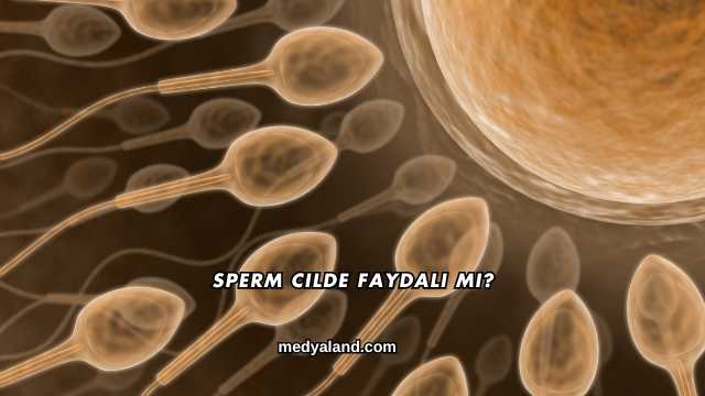 Sperm Cilde Faydalı mı?