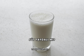 Süt Faydalı mı?