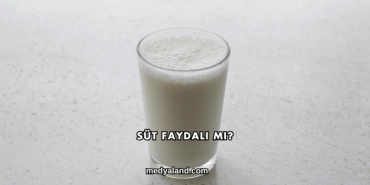 Süt Faydalı mı?