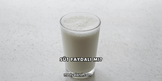 Süt Faydalı mı?